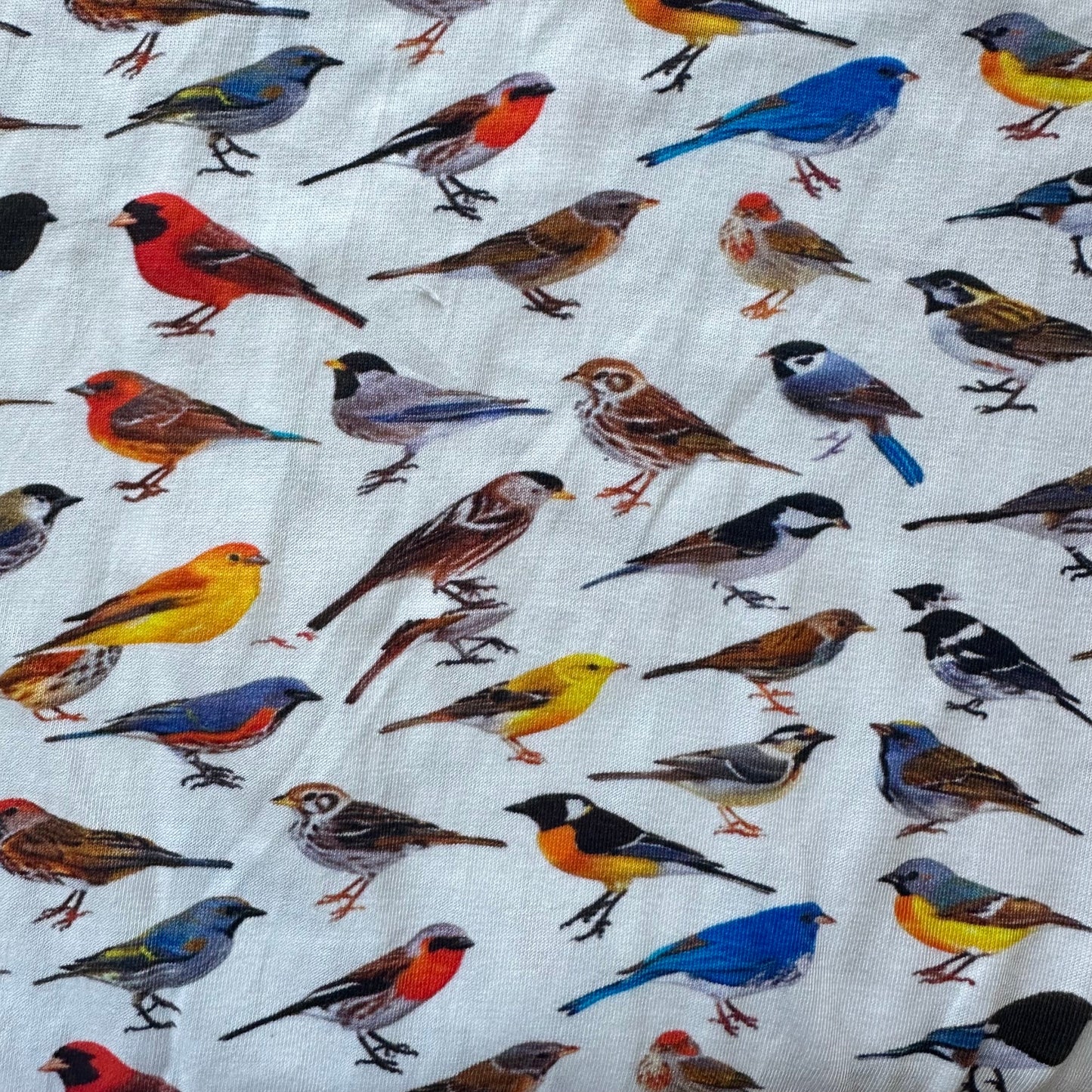 Birds Elastic Puff-Sleeve Dress [FINAL SALE]