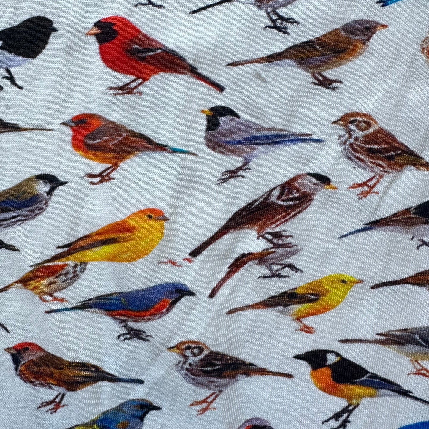 Birds Elastic Puff-Sleeve Dress [FINAL SALE]